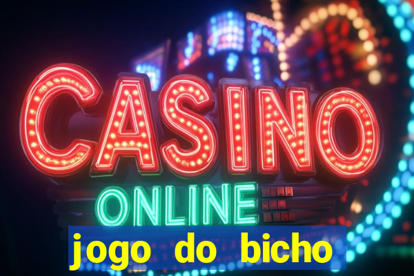 jogo do bicho crash bingo